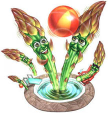 illustrator of asparagus illustraton